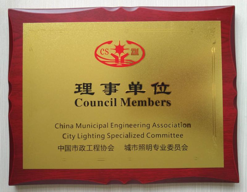 熱烈祝賀安陽(yáng)金秋照明被評(píng)為中國(guó)市政工程協(xié)會(huì)城市照明**委員會(huì)理事單位！
